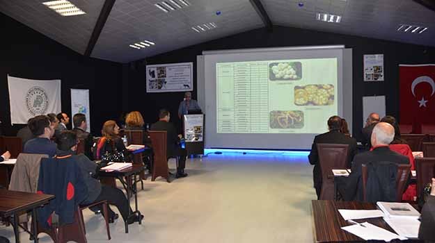 Sivasta yeni canlı türleri tespit edildi