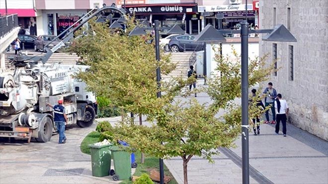 Belediyeden fare temizliği