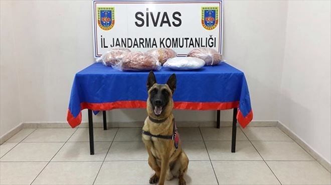 Kaçakçılara göz açtırılmıyor