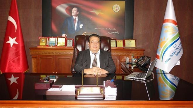 Sivas´ta Şap Hastalığı 58 Hayvanı Telef Etti