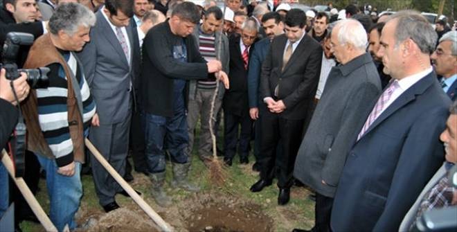 130 Bin Fidan Dağıtıldı