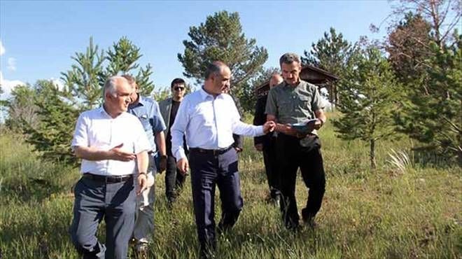 Sivaslılara yeni bir mesire alanı
