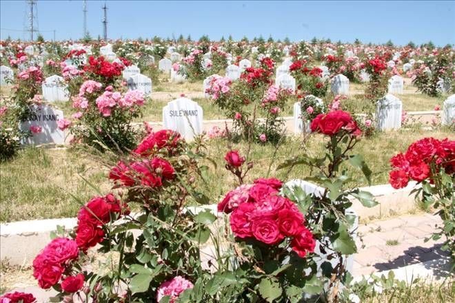 Tekke gül bahçesine döndü