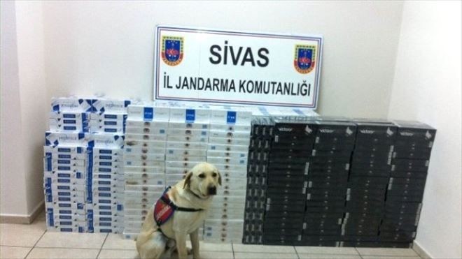 Sivas´ta 15 Bin Paket Kaçak Sigara Ele Geçirildi