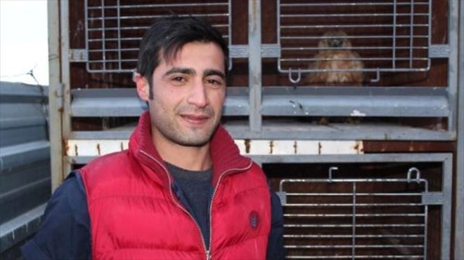 Yaralı Bulunan Kızıl Şahin Korumaya Alındı