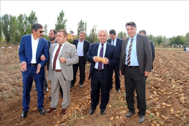 Patates hasat töreni gerçekleştirildi