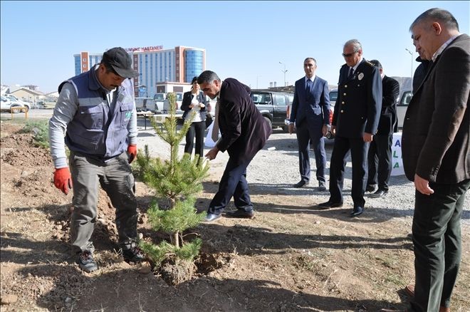ÇEDAŞ´tan 15 Temmuz Demokrasi Şehitleri anısına hatıra ormanı