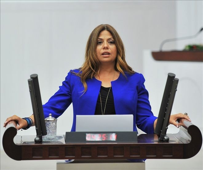 Divriği´ye mülteci kampı mı kurulacak?