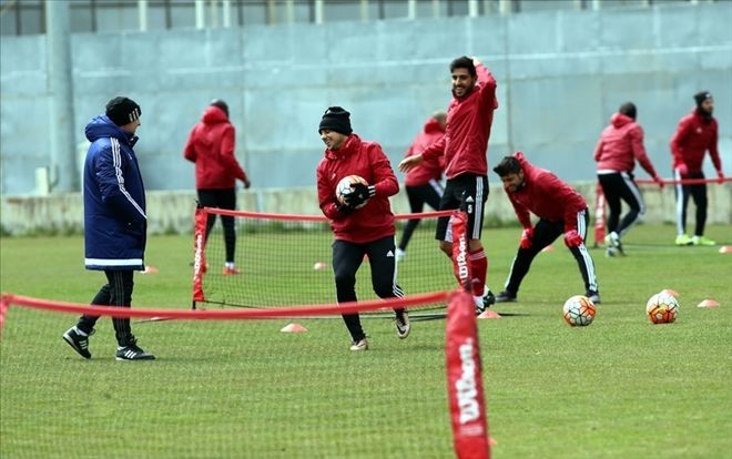Yiğidolar, Beşiktaş´a Bileniyor