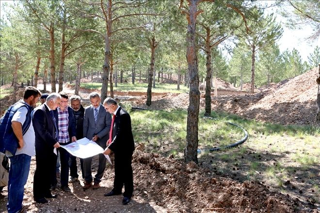 Aydın, Çamlık Mesire Alanında İncelemelerde Bulundu