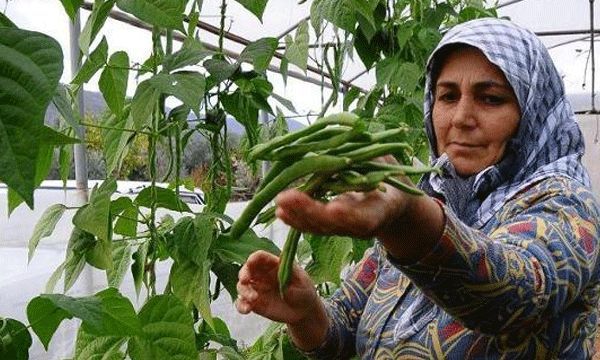 Tarım ve hayvancılık şehri Sivas´ta