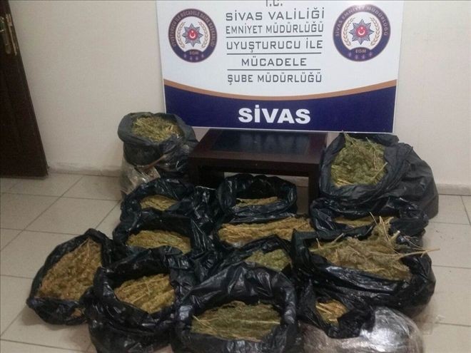 Sivas´ta 44 Kilogram Esrar Ele Geçirildi