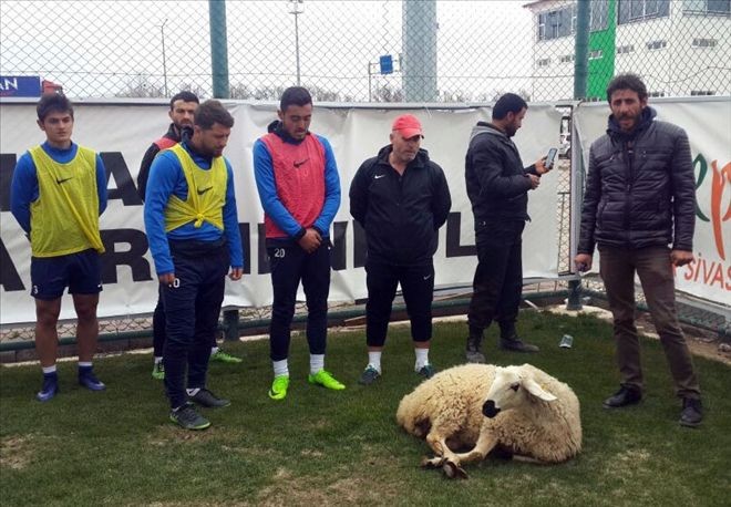 SİVAS BELEDİYESPOR KURBAN KESTİ