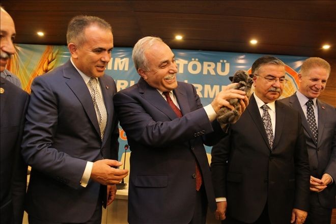 ?Tarım Sektörü Değerlendirme? 