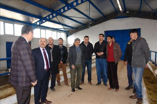 Yıldız; işletmeleri ziyaret etti