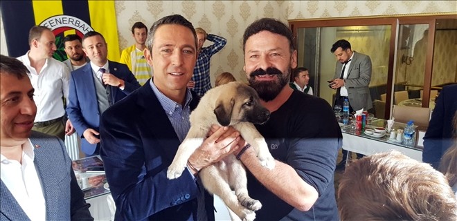 Ali Koç´a bir çift kangal köpeği yavrusu hediye edildi