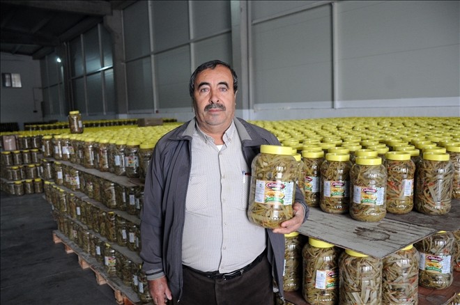 Sivas´tan Almanya´ya ´pezik´ turşusu