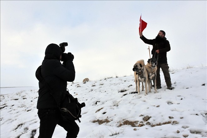 İtalyan basınının Kangal köpeği ilgisi