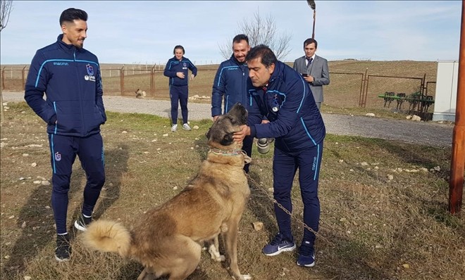 Karaman ve Sosa´dan Kangal Köpeği Çiftliği´ne ziyaret