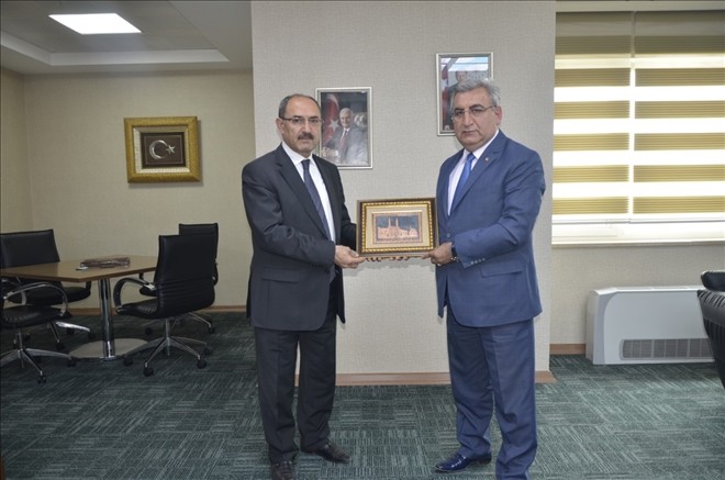 Hayvan pazarına DAP desteği