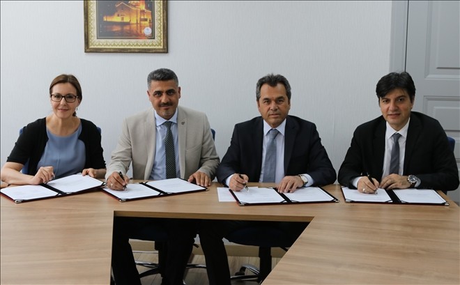 Elektrik dağıtım sektörüne ´Enerji yıldızları´ kazandırılacak