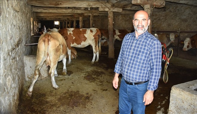 Sivas´ta ´şarbon´ paniği; köy karantinaya alındı