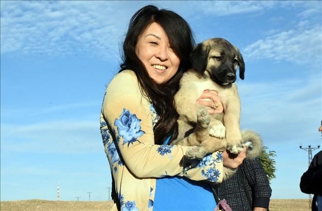 Turistlerin Kangal köpeği ilgisi