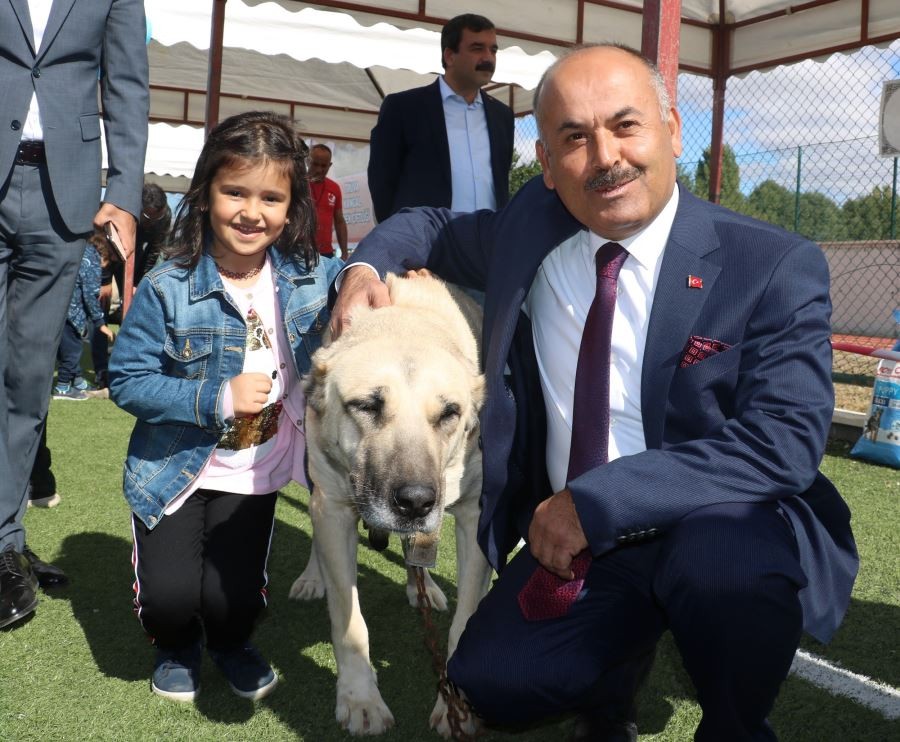 Güzellikleri ile kıyasıya yarıştılar