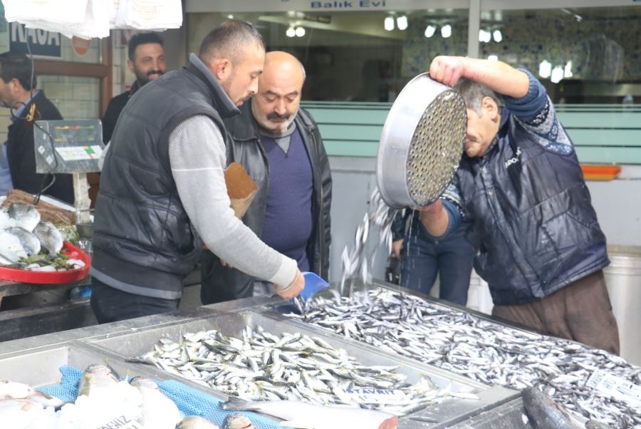 Hamsi yüzleri güldürdü
