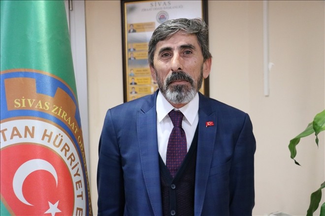 Sivas´ta patates ekim yasağı yok