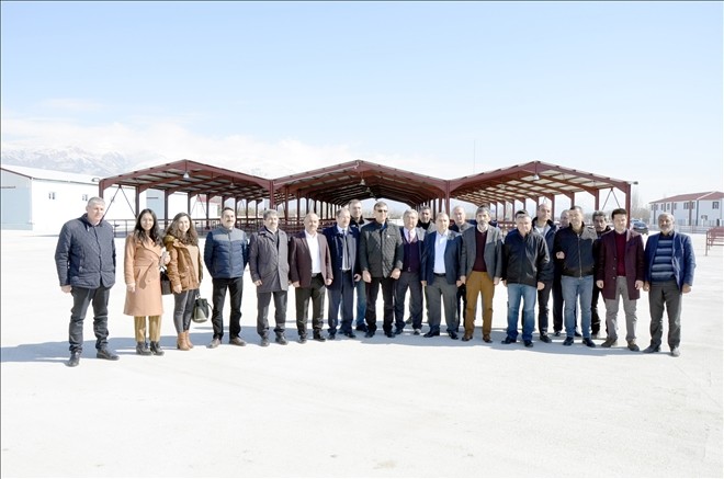 Hayvan Pazarını İncelediler 