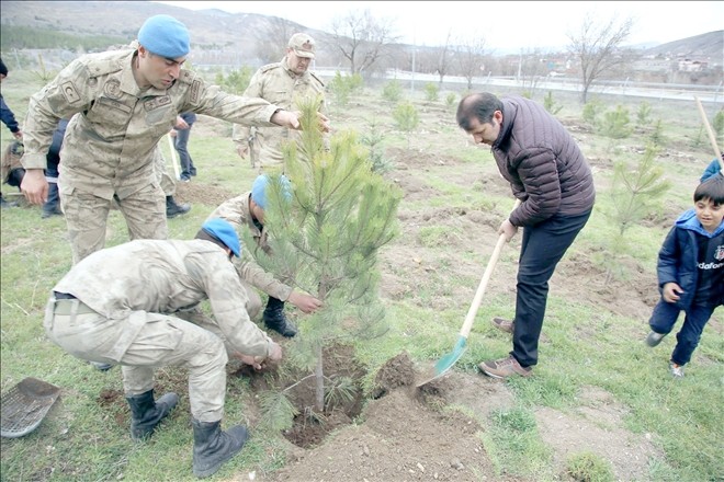 Yüzüncü Yılda 100 Milyon Fidan 