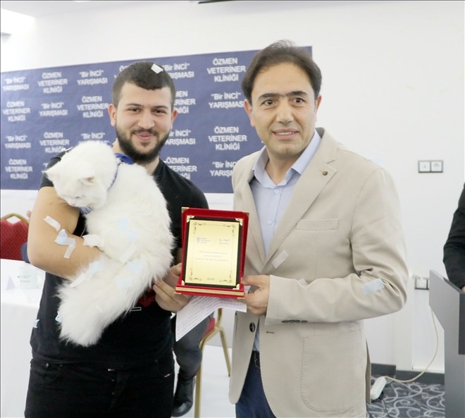 Kediler sahnede boy gösterdi 