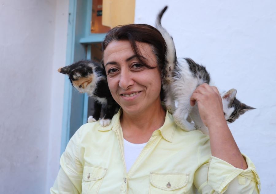Kiraladığı evde 90 kediye bakıyor 