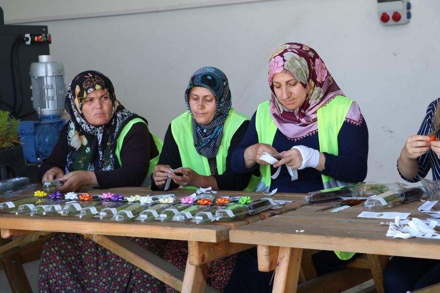 Nikah fidanları Sivas’ta üretiliyor