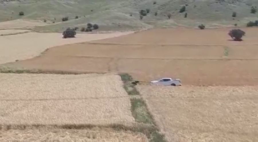  Yardıma gittikleri ayının saldırısıyla karşılaştılar 
