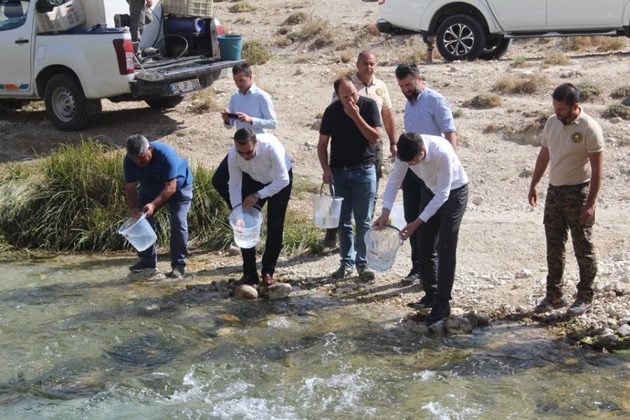 Hurman Çayına alabalık yavrusu bırakıldı 