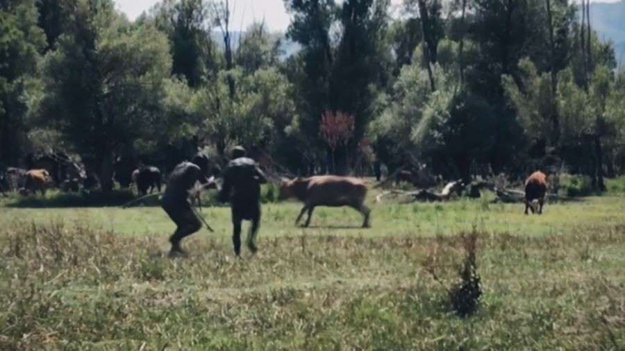 Sivaslı ailenin 