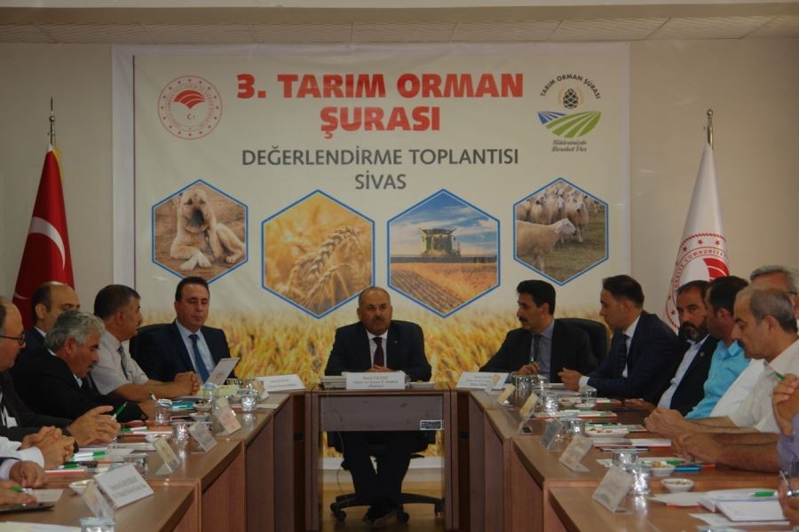 Sivas