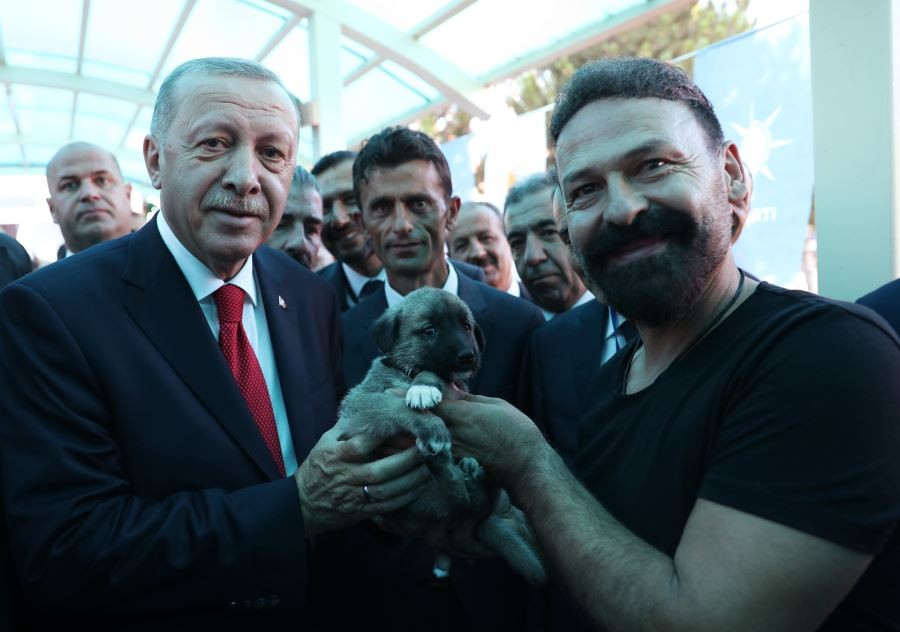 Erdoğan