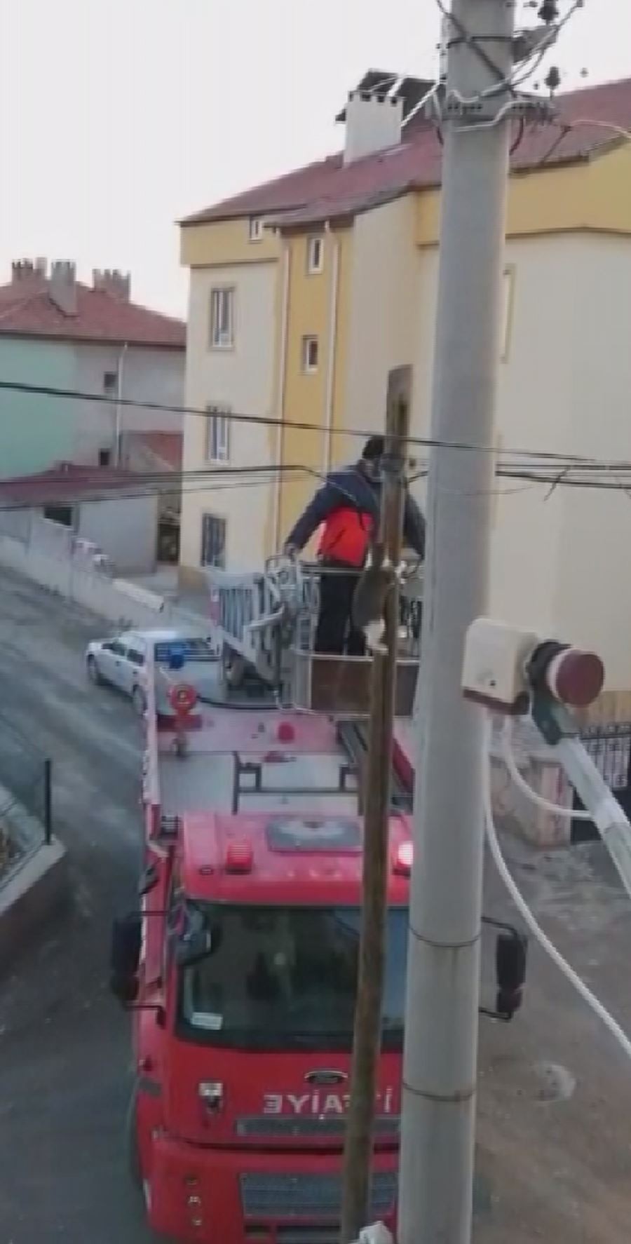 Yaramaz kedi başına gelenlerle gülümsetti