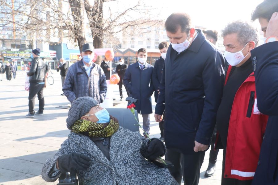 Ölen kedisi için 3 gün ağladı