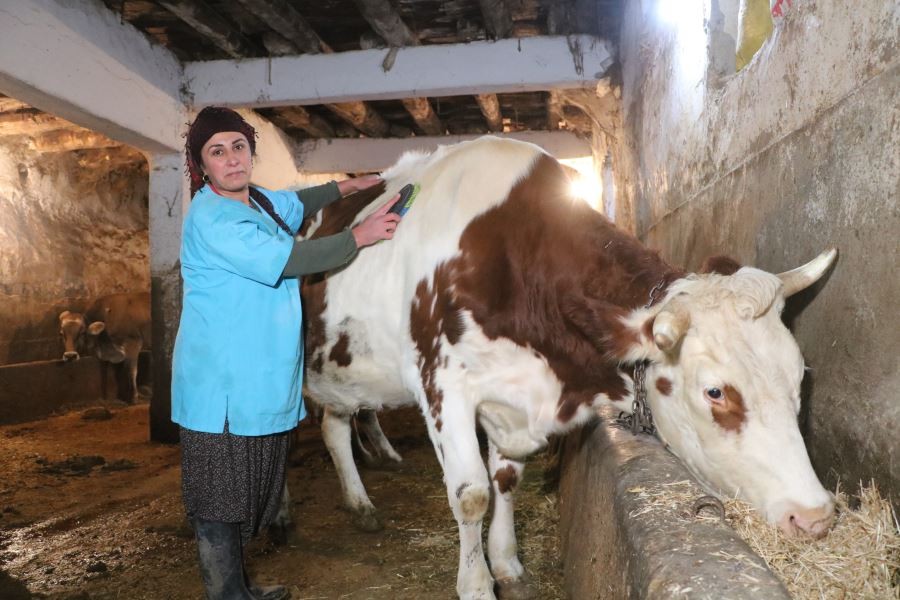 Asgari ücretle çalışmak yerine kendi işinin patronu oldu