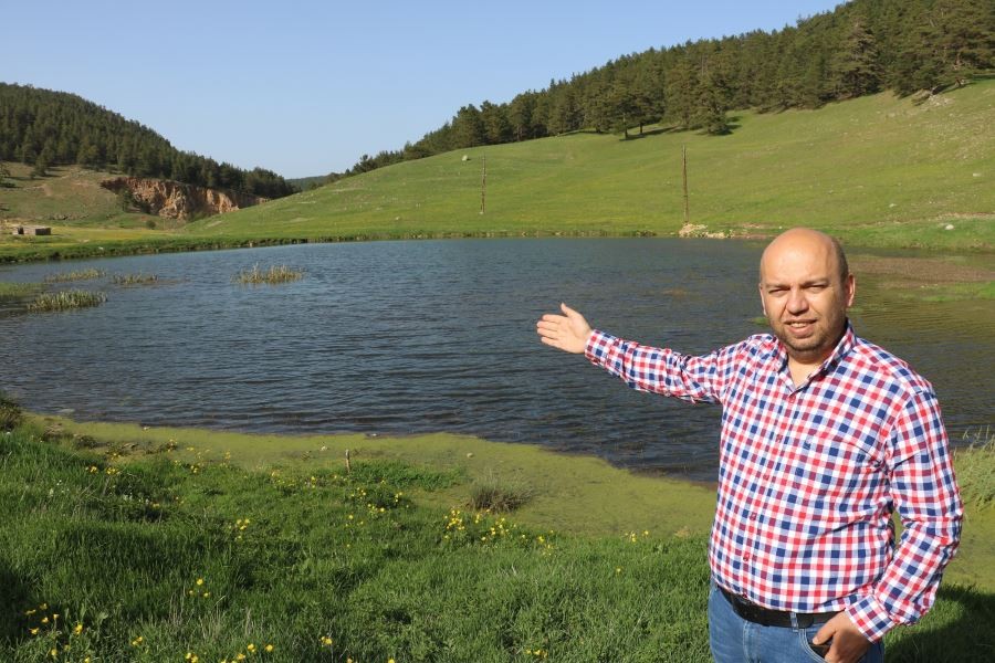Kurbağalı gölden yayılan sesler tüm yaylayı kaplıyor