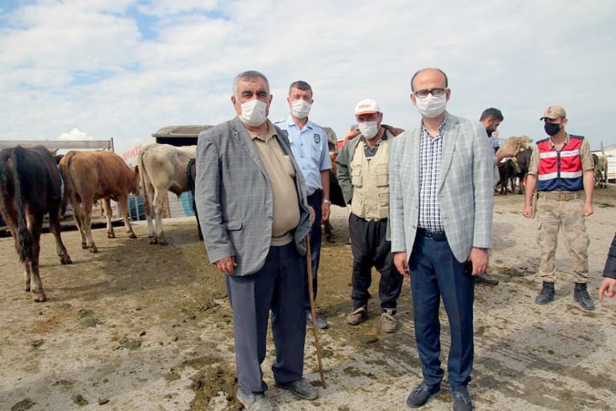 Şarkışla Hayvan Pazarı yeniden açıldı