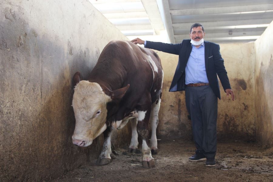 Kazandığı para dudak uçuklatıyor