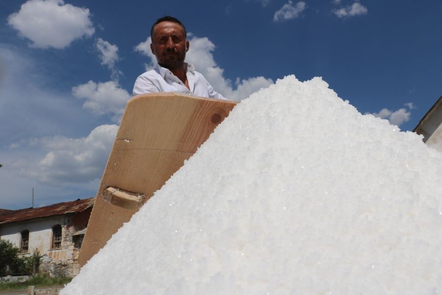 Bozkır’da beyaz inci hasadı başladı