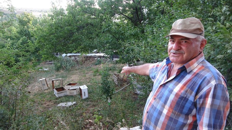 Köye inen ayılar 2 bin liralık bal yedi, görüntüler kameralara yansıdı