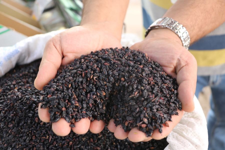 Toplaması saatler alıyor, faydası ise saymakla bitmiyor
