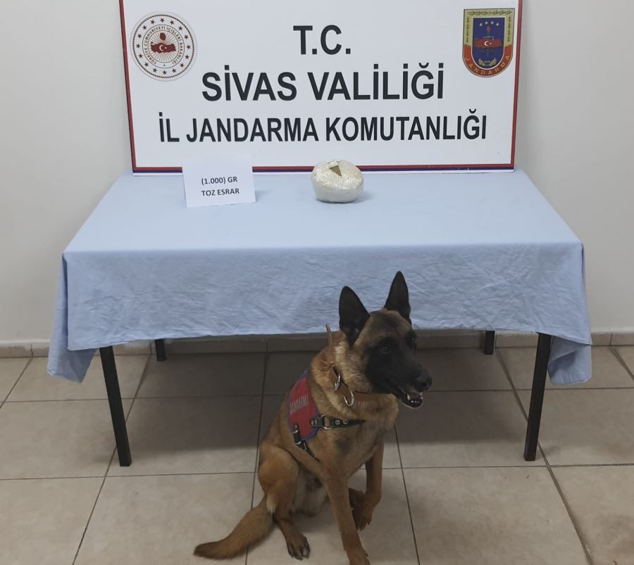 Toplamda 1 kilo 665 gram toz esrar ele geçirildi